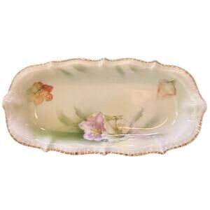 Royal Rudolstadt Arts Floral Antique Prussia Hand Painted soap or Relish Dish